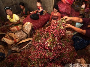 Harga Bawang Merah Anjlok, Petani: Dibeli Rp 7.000/Kg