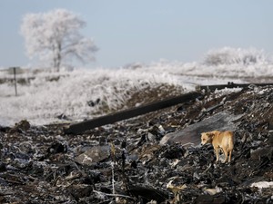 Belanda Rilis Laporan Akhir Tragedi MH17 pada Oktober