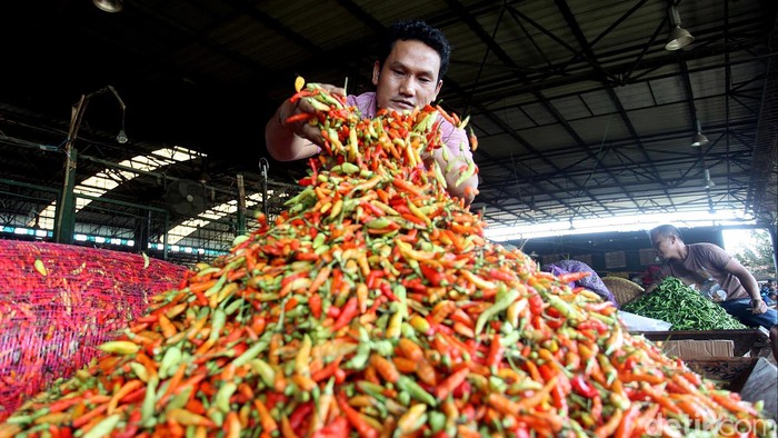 Curhat Petani Cabai: Produksi Turun karena yang Tanam Sedikit