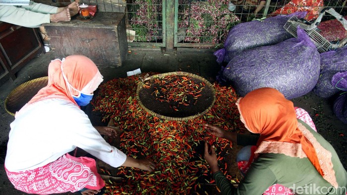 Produksi Cabai Cukup Tapi Harga Melonjak, Ini Penjelasan Kementan