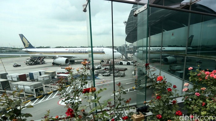 40 Penerbangan Delay Imbas Kebakaran, Bandara Changi Minta Maaf