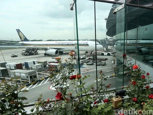 Cekrek! Ini Bandara yang Paling Banyak Diposting di Instagram