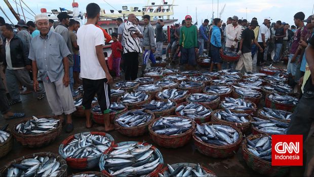 Aktivitas masyarakat di Tempat Pelelangan Ikan (TPI) Banda Aceh.