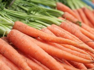 5 Fakta Unik Wortel yang Jarang Diketahui, Ternyata Punya Biji