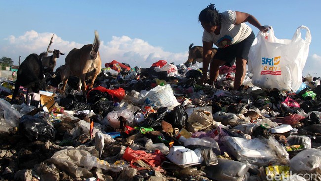 4 Aksi Pengelola Sampah Bantargebang Membalas Serangan Ahok