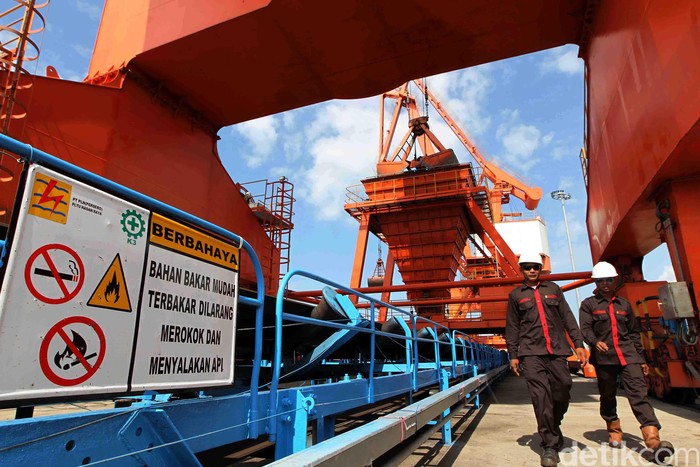 PLTU Nagan Raya mulai dibangun pada pertengahan tahun 2008 dan mulai beropersi Comersial Operation Date (COD) untuk Unit 1 pada Bulan April 2014 dan Unit 2 pada bulan Agustus 2014. Keberadaan PLTU Nagan Raya ini untuk memperkuat dan kehandalan sistem kelistrikan di Aceh dan Sumatera Utara. PLTU Nagan Raya adalah salah satu proyek infrastruktur yang masuk dalam fast track program 10000 MW tahap I Luar Jawa, dengan beroperasinya PLTU Nagan Raya ini penghematan  penggunaan bahan bakar hingga sebesar Rp2,8 triliun per tahun.