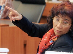 Ekspor Benih Lobster Dibuka, Susi: Saya Tidak Rela!
