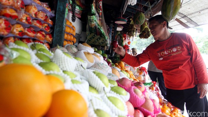 Cerita Susahnya Eksportir RI Cari Buah Untuk Diekspor