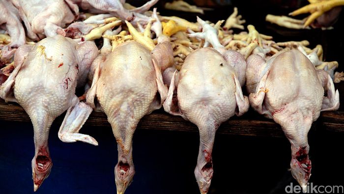 Ilustrasi daging ayam/Foto: rengga sancaya Ilustrasi daging ayam/Foto: rengga sancaya