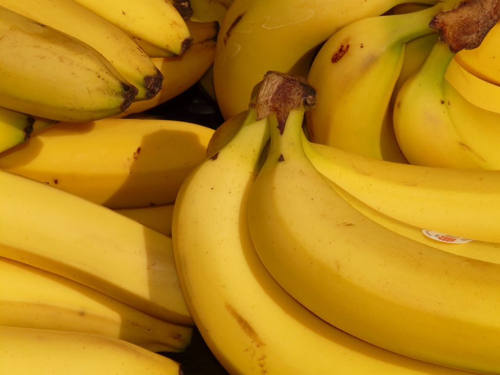 Ilustrasi Buah pisang