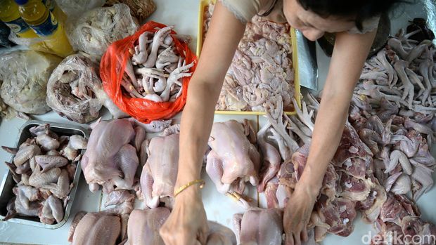 Pedagang ayam
