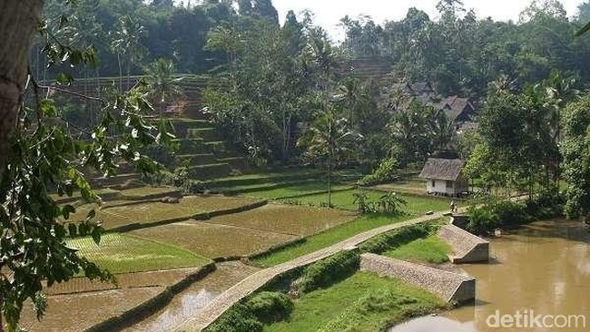Daftar Daerah Rentan Kesulitan Pangan di RI