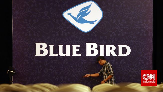 Blue bird перевод