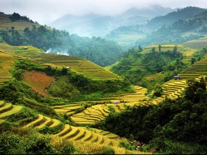 Agraris: Pengertian dan Contohnya di Berbagai Sektor