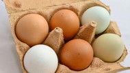 Mengapa Telur Bisa Berbeda Warna? Ini Penjelasannya