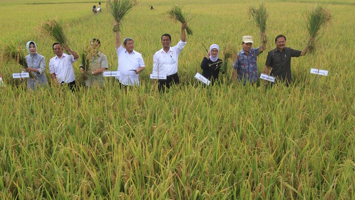 Kemarau Panjang, Jabar Optimis Bisa Capai Target 13 Juta Ton di 2015