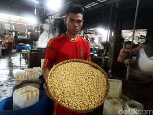Harga Kedelai Impor Asal AS Naik