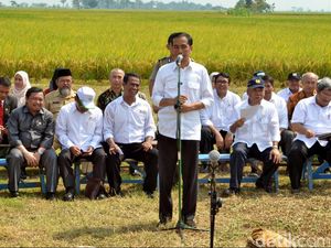 Pujian Jokowi ke Mentan: Rela Siapkan Uang Pribadi Untuk Amankan Harga Bawang