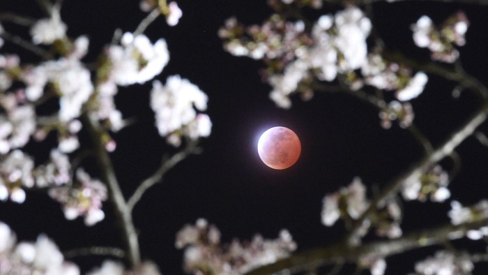 Gerhana Bulan Supermoon Tak Bisa Dilihat di RI, Tunggu Gerhana Matahari