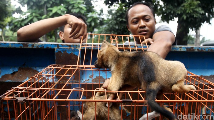 Meski Beriklim Panas, Indonesia Dinilai Belum Concern pada Penyakit Tropis