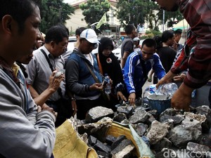 Batu Akik Boleh Meredup, Tapi Tidak untuk Batu Hidup
