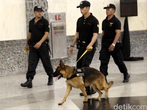 Dicari! 100 Pawang Anjing yang Berani Kerja di BNN