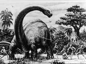 Ngeri! Ini 5 Kepunahan Massal yang Pernah Terjadi di Bumi