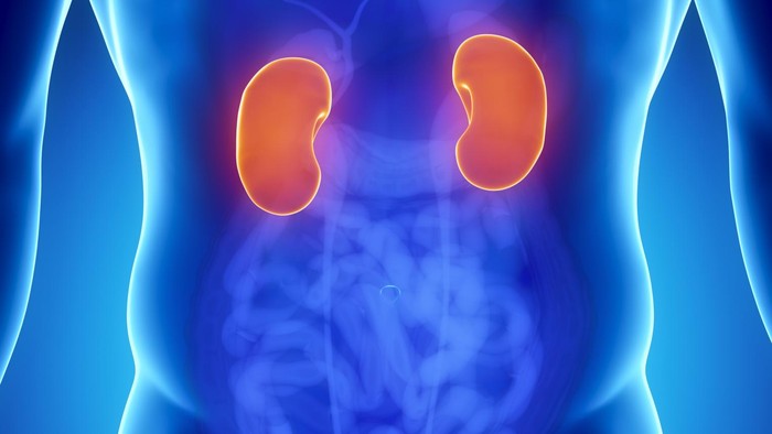 Indonesia Beriklim Tropis, Masyarakat Berisiko Tinggi Terserang Batu Ginjal