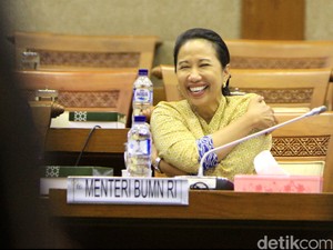 Gerak Cepat Menteri Rini Tampung Dana Tax Amnesty