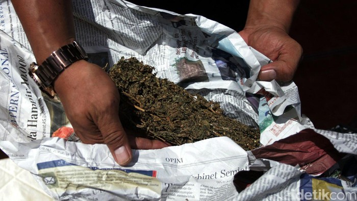 Pakai Ganja di Tebet, WN Australia Dipenjara 4 Tahun