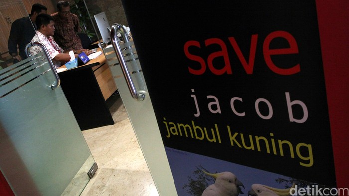 Lewat #SaveSiJambulKuning, Publik Sadar Pelihara Satwa Langka itu Enggak Keren