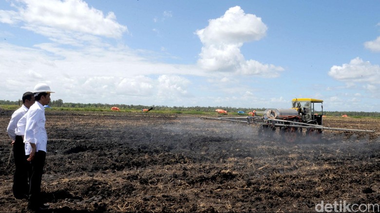 Lestarinya Merauke dan Kabar Target Jokowi Soal Sawah 1,2 Juta Ha Lestarinya Merauke dan Kabar Target Jokowi Soal Sawah 1,2 Juta Ha