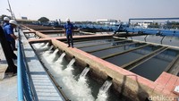 Jakarta. BBC memasukkan Jakarta ke dalam daftar 11 kota yang terancam kehabisan air bersih. Salah satu problemnya adalah ancaman kenaikan permukaan air laut. Kelangkaan air bersih di Jakarta disebut makin parah akibat ulah manusia. Praktik penggalian sumur secara ilegal menguras air tanah. Bank Dunia menyebut 40% wilayah Jakarta sekarang berada di bawah air laut. Kondisi ini makin buruk karena akuifer di bawah tanah tidak terisi kembali akibat penuh struktur beton. (Foto: Grandyos Zafna)