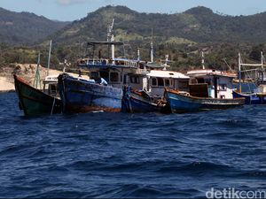 Moratorium Transhipment Angin Segar Bagi Nelayan Kecil di Kendari