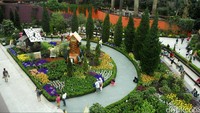 Setelah puas di Universal Studios Singapore, melipirlah ke suaka seluas 101 hektar yang berada di tepi Marina Bay Waterfront di pusat Singapura. Salah satu ikonik dari Gardens by the Bay adalah Supertree Grove. (Foto: Grandyos Zafna)