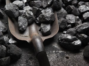 Benarkah Asal Usul Bahan Bakar Fosil dari Tulang Belulang Hewan Purba?