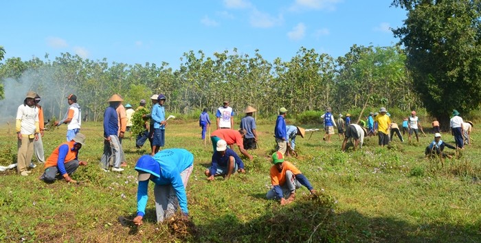 Kala Warga Bersiap Membangun Rumah Peri Setyowati di Hutan Ngawi