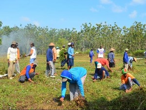 Kala Warga Bersiap Membangun Rumah Peri Setyowati di Hutan Ngawi