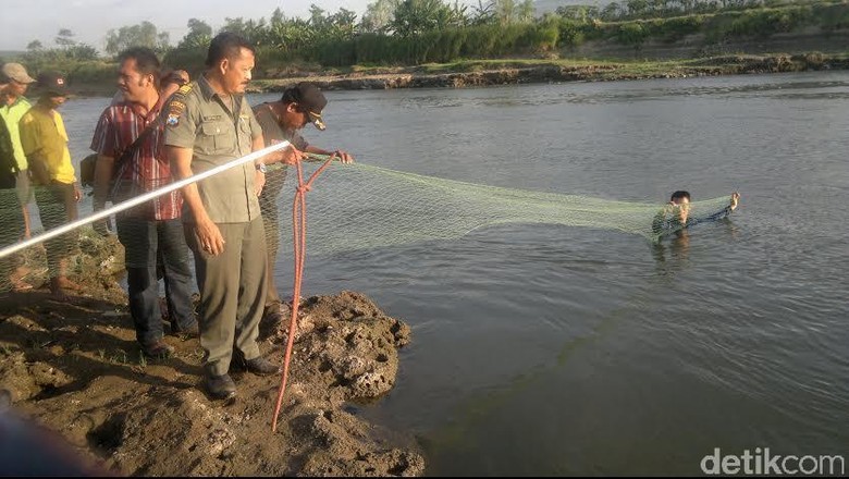 Tim Bksda Tebar Jaring Akan Evakuasi Buaya Di Kali Porong