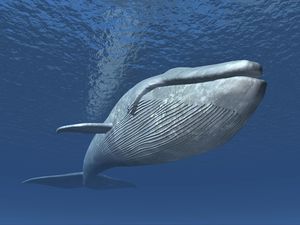 Naskah Kuno Ungkap Monster Laut Bernama Hafgufa, Benarkah Itu Paus?