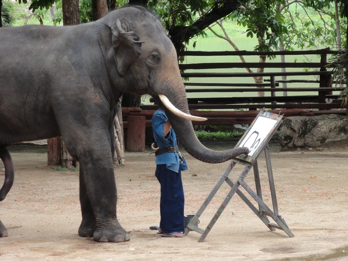 Ilustrasi Gajah Melukis