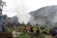 Aparat Musnahkan Ganja dengan Cara Dibakar, Apa Tidak Bikin Mabuk?