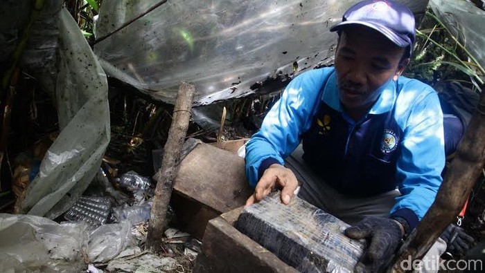 BNN Temukan Alat Pres Ganja dalam Lubang di Pegunungan Gayo Lues