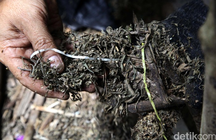 Kabur, Mahasiswa Pengedar Ganja di Depok Tertangkap setelah Terjebak Macet