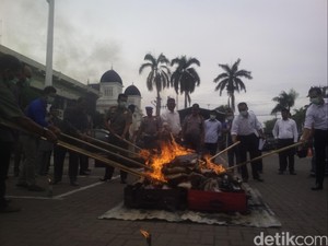 Polresta Banda Aceh Musnahkan 57 Kg Ganja yang Ditangkap di Bandara