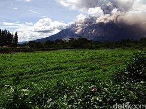 Erupsi Gunung Sinabung, Wisatawan Diimbau Tidak Beraktivitas di Dekat Puncak