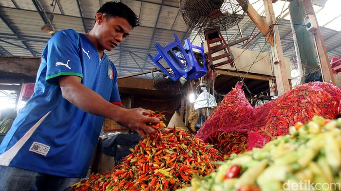 Kementan Bingung Cabai di Garut Rp 27.000/Kg, Sampai Jakarta di Atas Rp 50.000/Kg