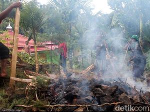 Mengenal Tradisi Bakar Batu dari Suku Dani, Ritual Unik di Papua