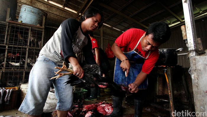Menjelang bulan puasa, harga daging ayam potong dan ayam kampung di sejumlah pasar tradisional di Kota Bekasi, Jawa Barat, mengalami kenaikan. Kenaikan harga ayam potong, disebabkan tren kenaikan harga menjelang bulan suci Ramadan. Rengga Sancaya/detikcom.