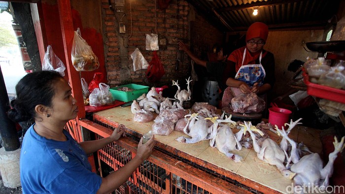 Menjelang bulan puasa, harga daging ayam potong dan ayam kampung di sejumlah pasar tradisional di Kota Bekasi, Jawa Barat, mengalami kenaikan. Kenaikan harga ayam potong, disebabkan tren kenaikan harga menjelang bulan suci Ramadan. Rengga Sancaya/detikcom.